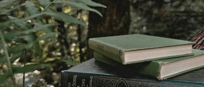 4ce90be3f5a95137b655a75b8c024acc