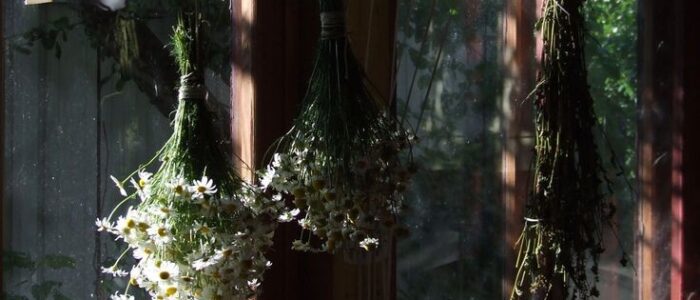 74d8dc0ef6cd8e248aa43b45941fc96e