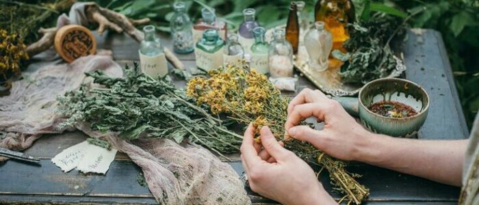 la enfermera botanica herbolaria cursos