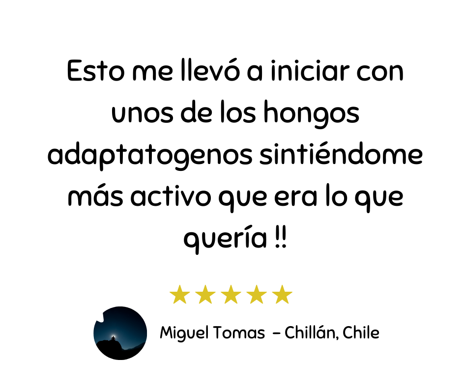 Recomendación de estudiante 2