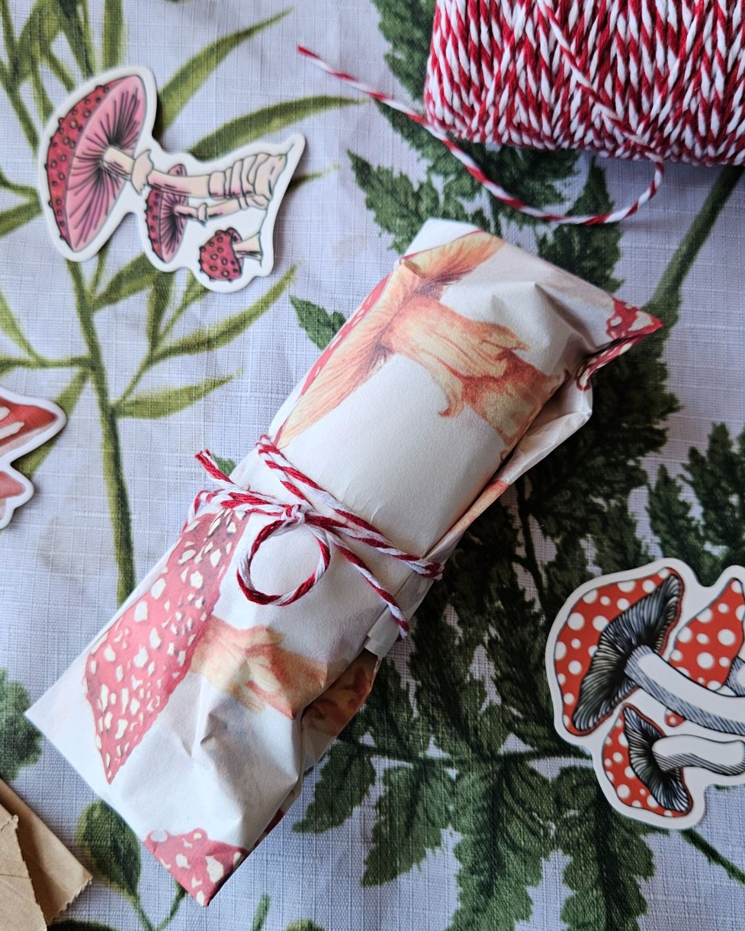 COLA DE PAVO - Imagen 4