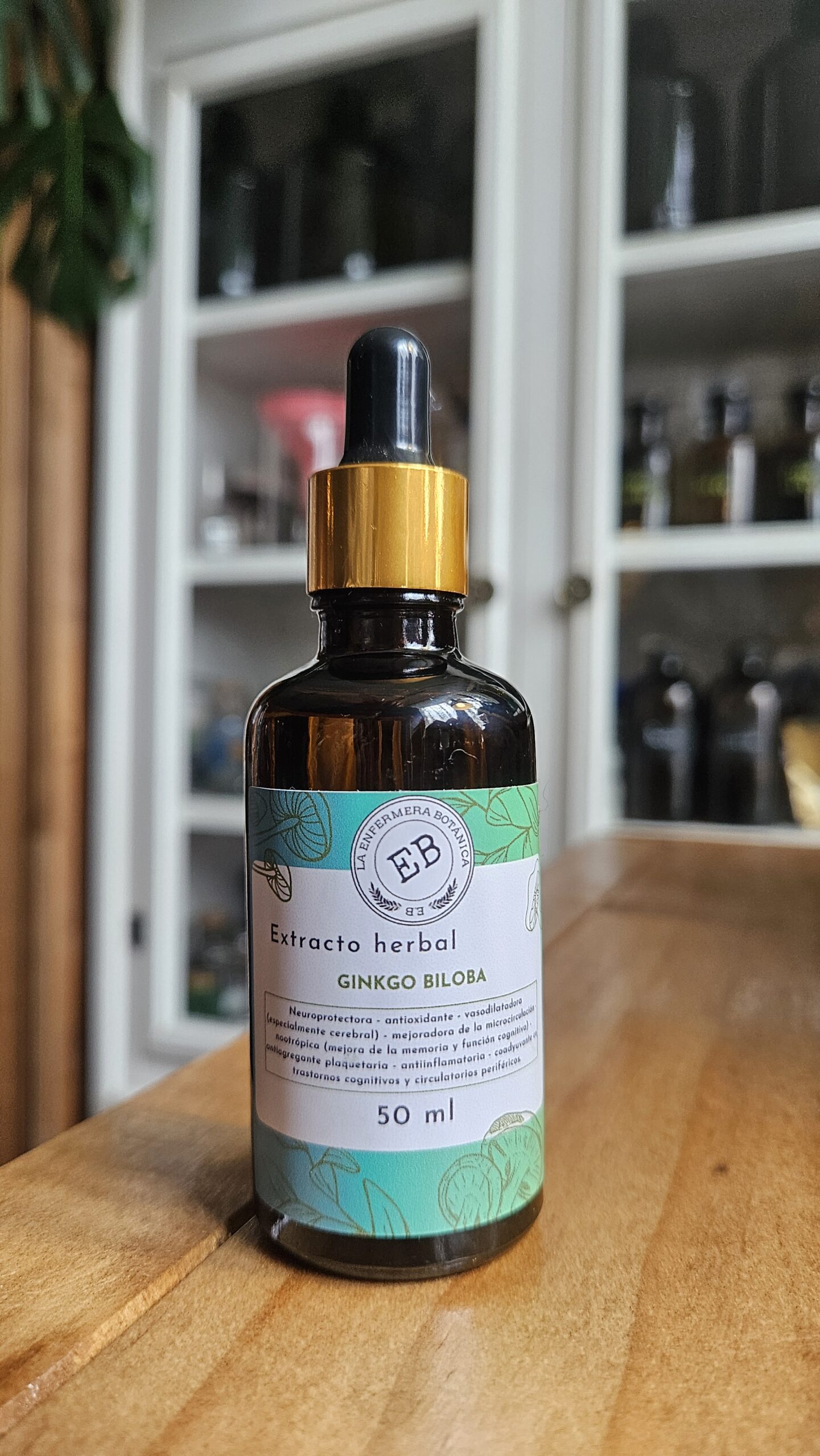Ginkgo biloba
